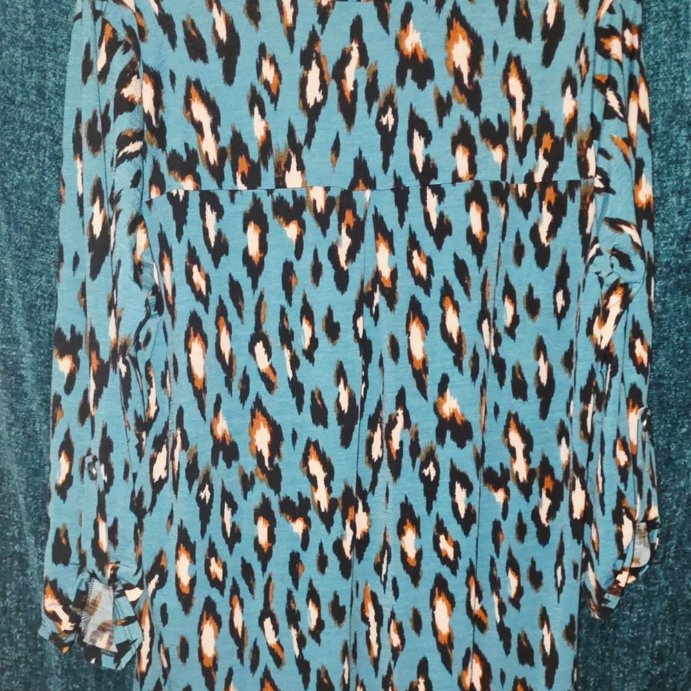 Teal Animal Print Long Sleeve Blouse